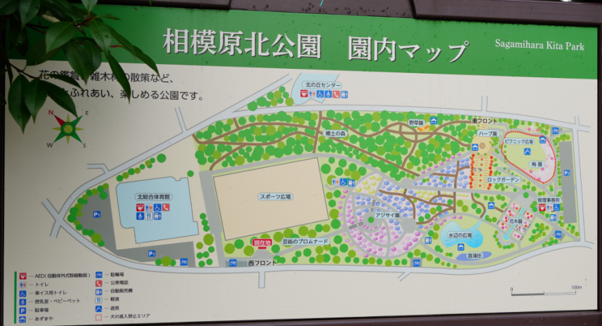 北公園園内マップ