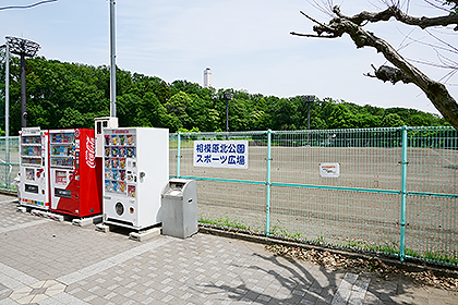 相模原北公園の広場入口