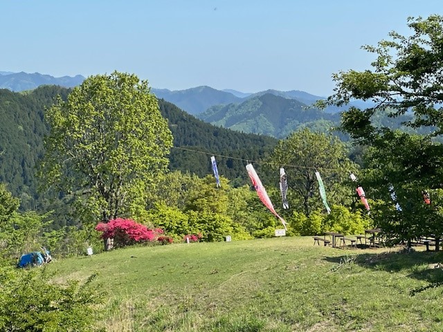 0505陣馬山山頂のツツジ類