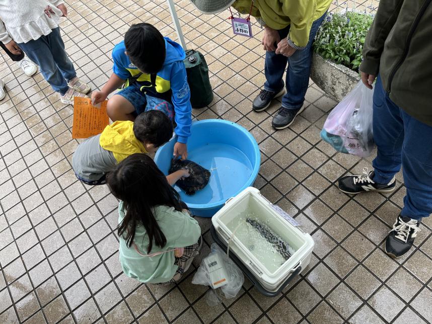 亀を触る子どもたち