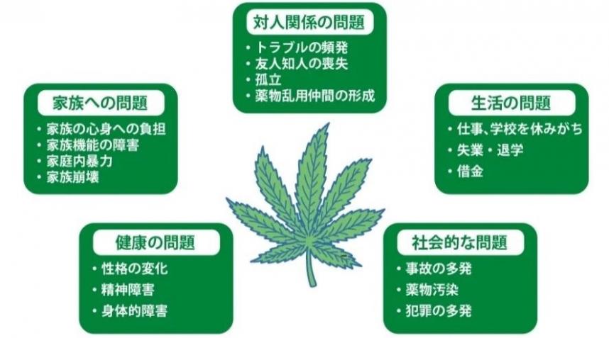 大麻の危険性