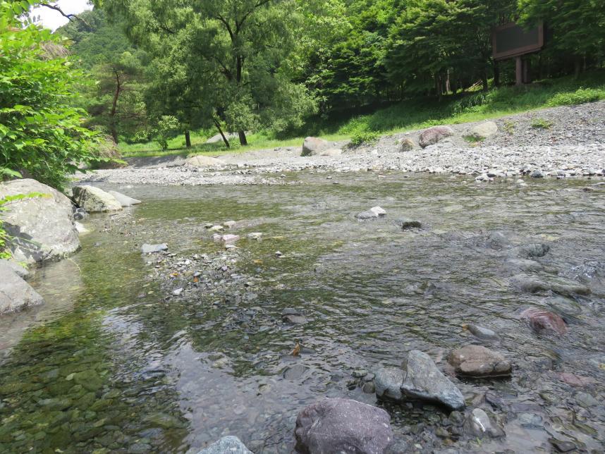 水無川近く