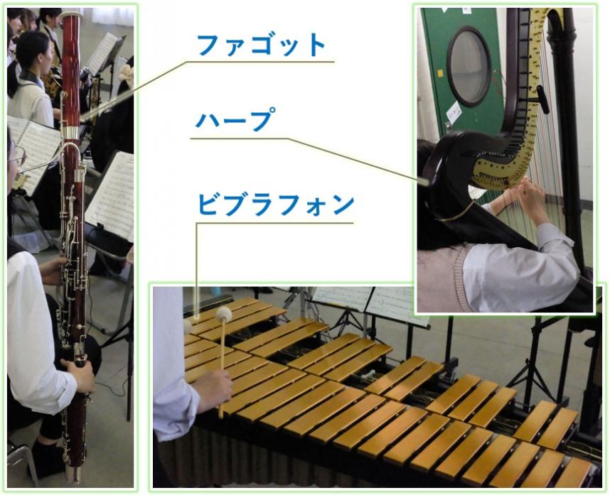 00_gakki_hiranuma
