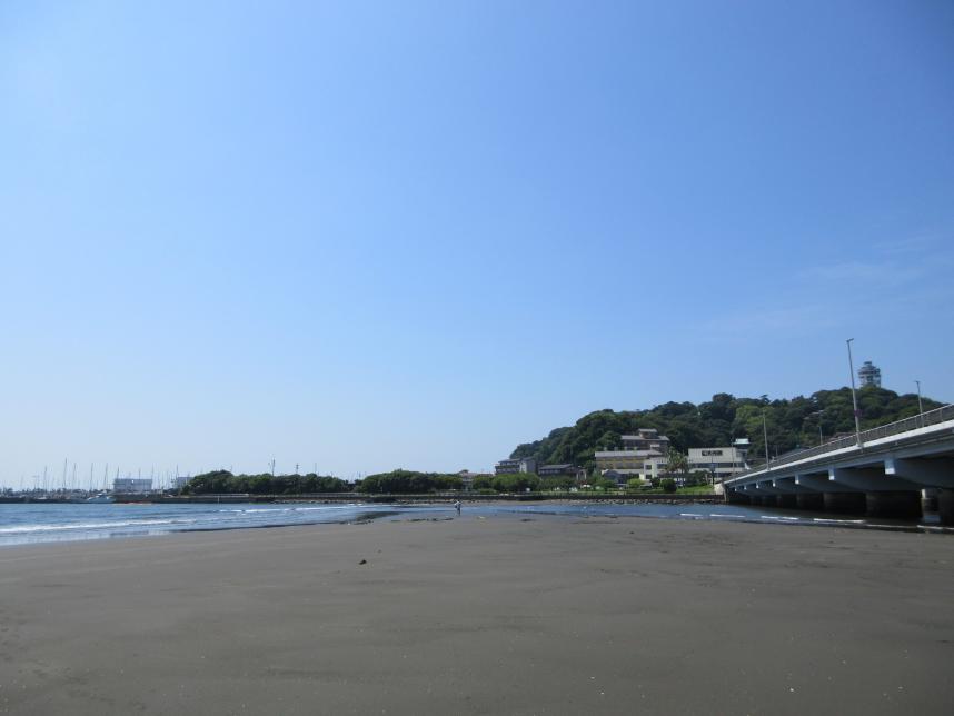 遠目で見た10時7分頃の浜辺(かなり潮がひいている)