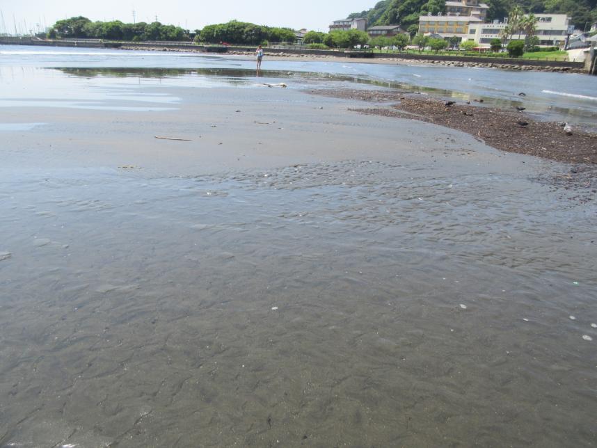 10時8分頃の海水の様子