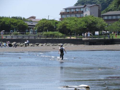 水の中を歩く様子