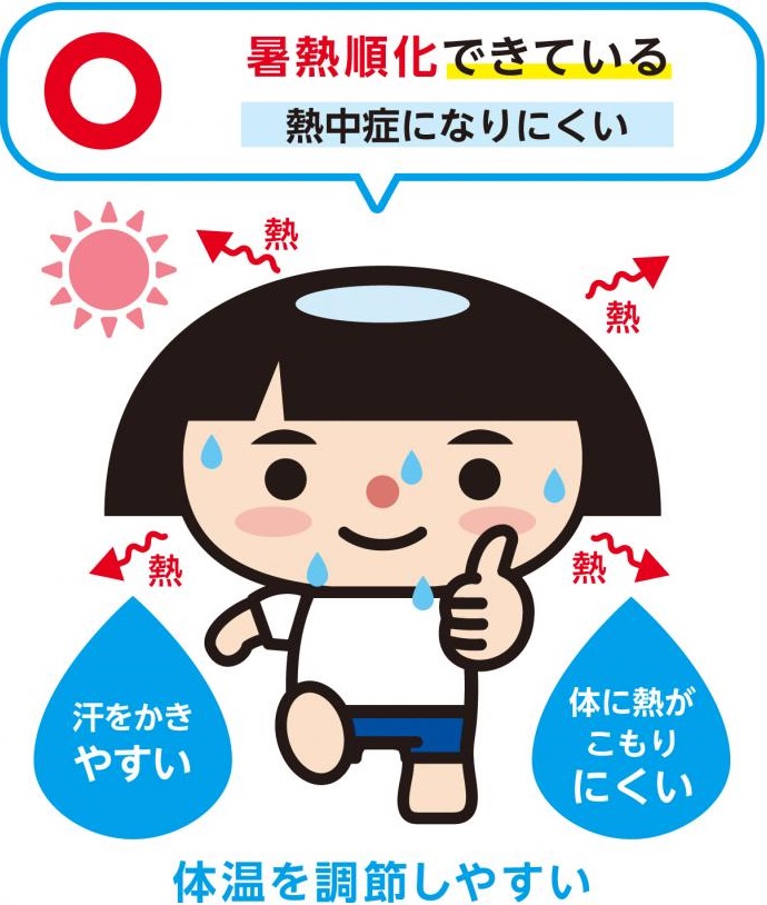 暑熱順化できているイラスト