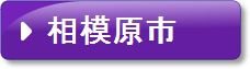 相模原市(紫)