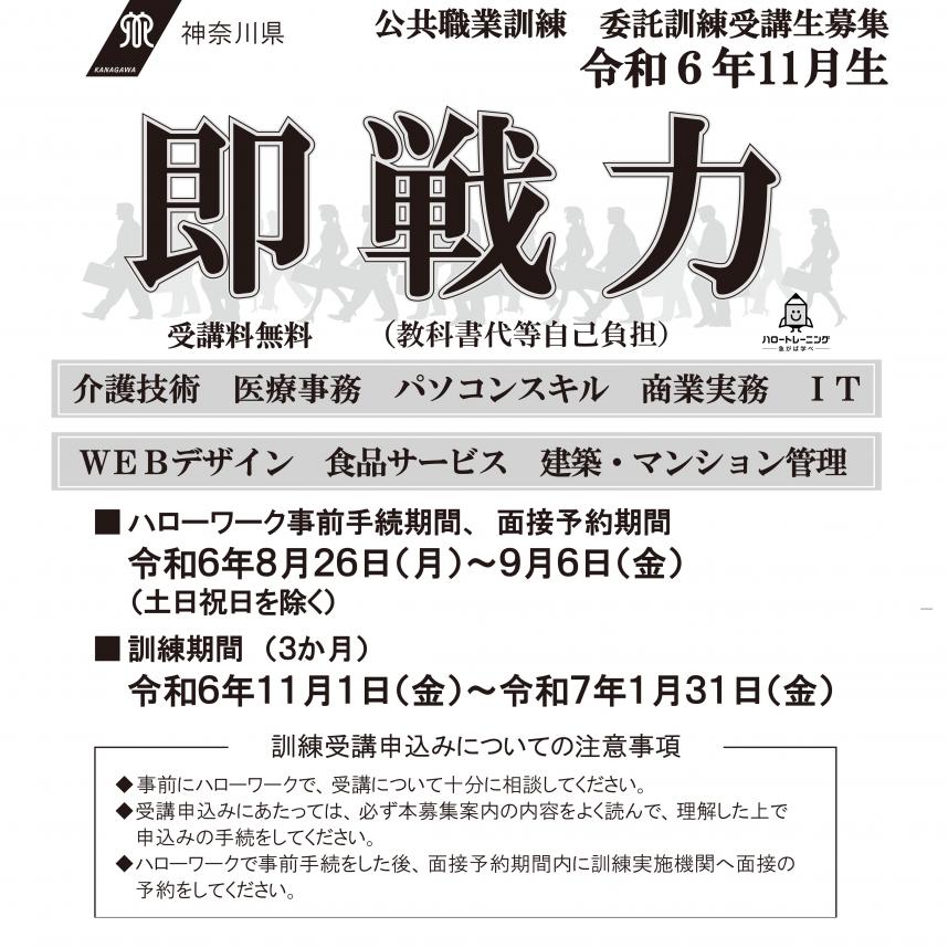 令和6年11月生