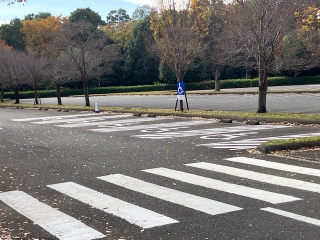 相模原公園の写真