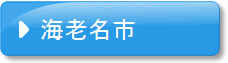 海老名市地図データリンクボタン