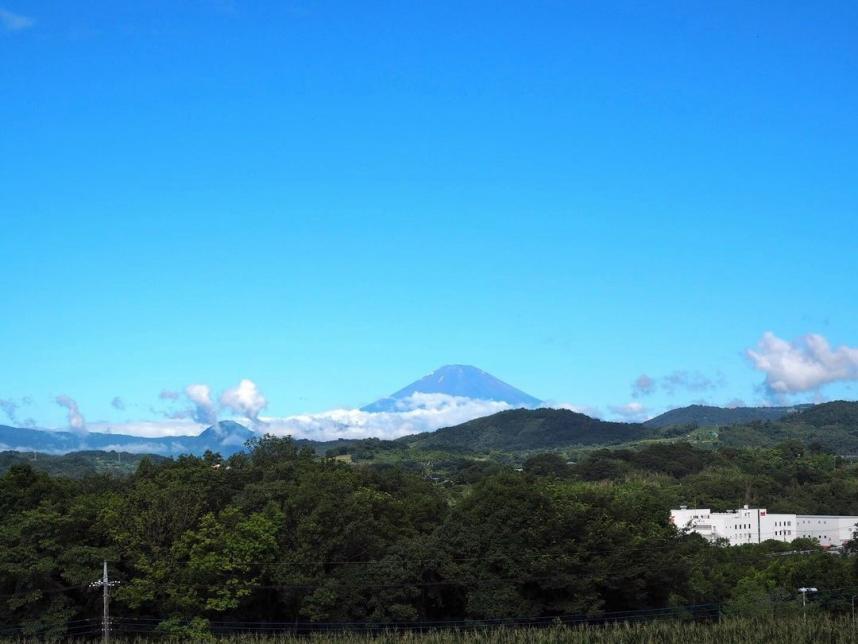 富士山の写真