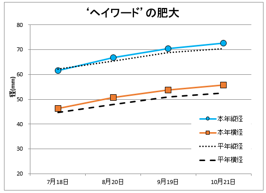 ヘイワード肥大状況