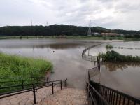 新遊水地橋より俣野遊水地を望む