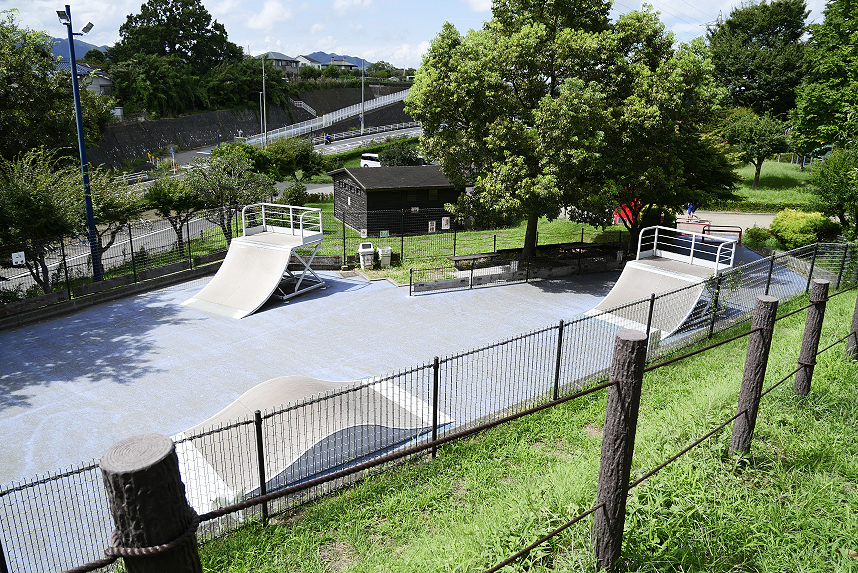 ぼうさいの丘公園スケートボード場