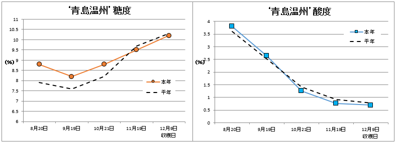 青島温州品質