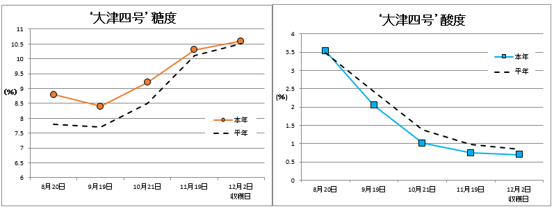 大津四号品質