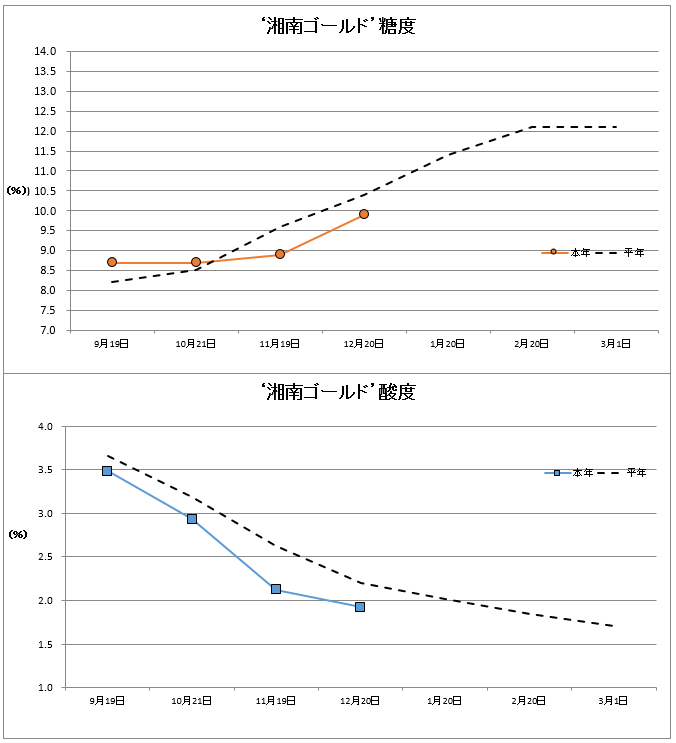 湘南ゴールド品質