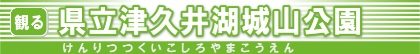 県立津久井湖城山公園