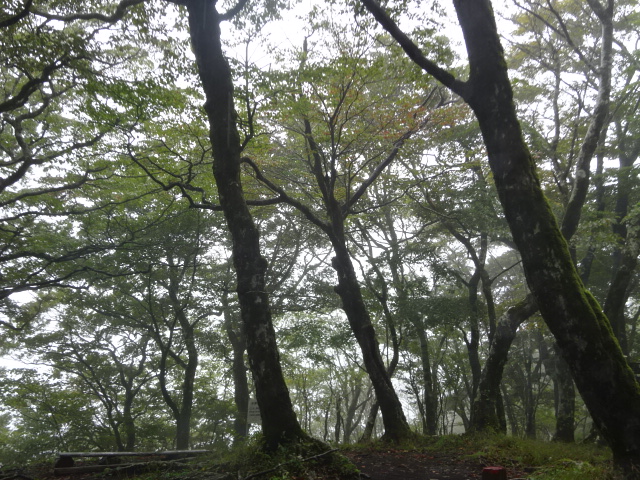 10月4日三国山山頂