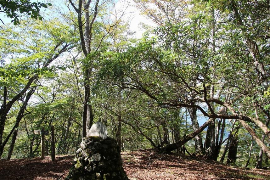 10月12日畦ヶ丸山頂色づき始め