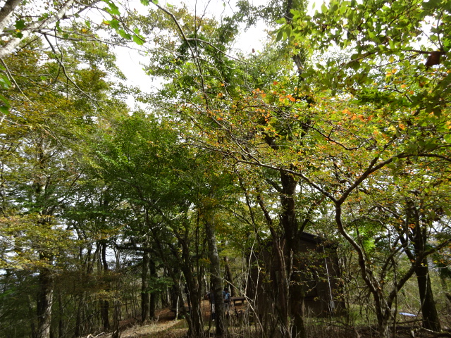 10月22日菰釣山避難小屋色づき始め