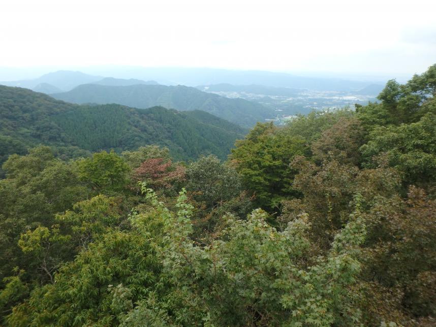 仏果山山頂