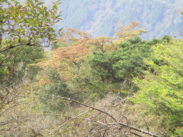 10月11日大山山頂