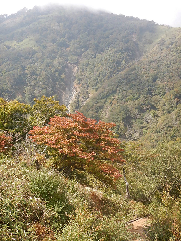 10月13日丹沢主脈不動ノ峰から棚沢ノ頭の間色づき始め