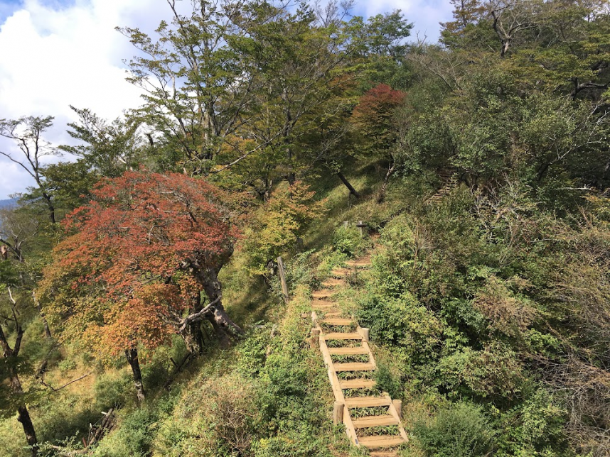 10月13日塔ノ岳山頂周辺色づき始め