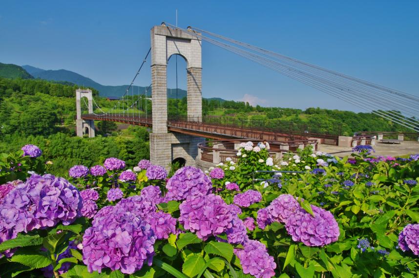 神奈川県立秦野戸川公園(秦野市) 