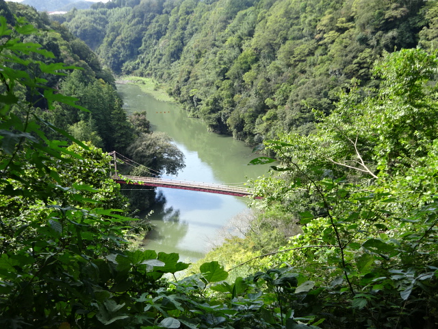 10月11日弁天橋