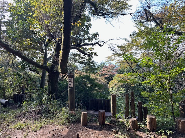 10月15日陣馬明王峠色づき始め