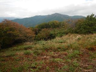 10月24日陣馬山山頂周辺色づき始め