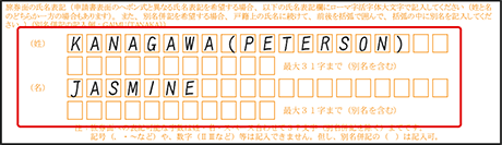 旅券面の氏名表記欄の記入例