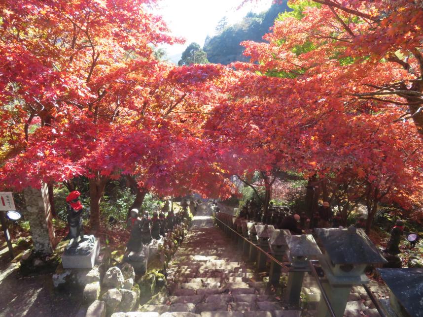 大山寺