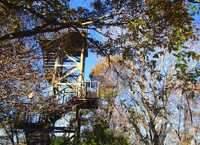 仏果山山頂