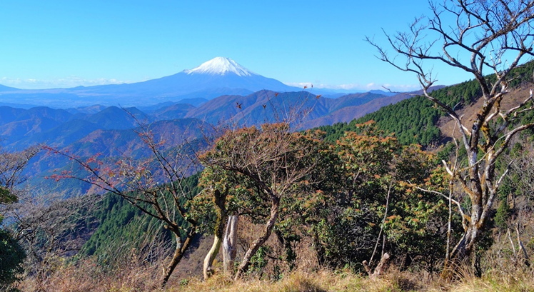 二ノ塔山頂周辺