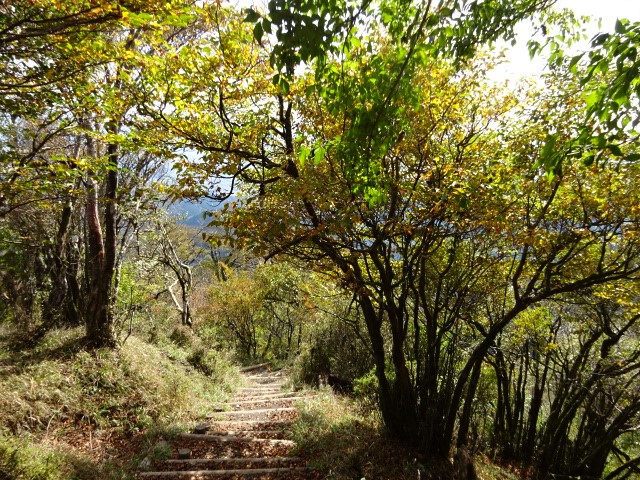 大山　雷ノ峰尾根　山頂周辺