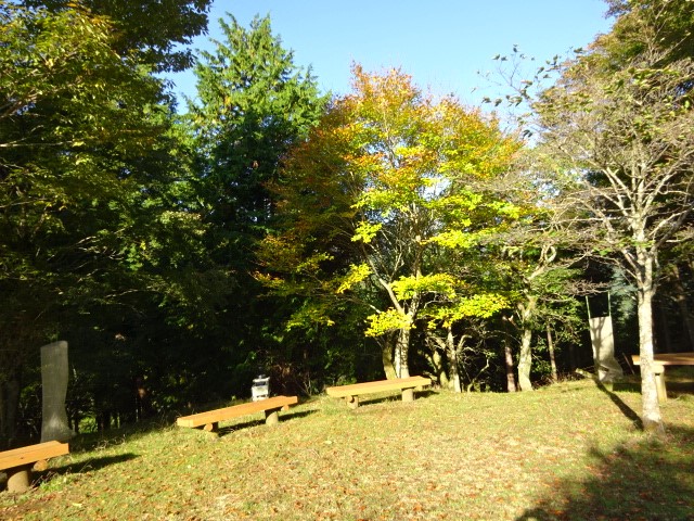 大山　ヤビツ峠上広場