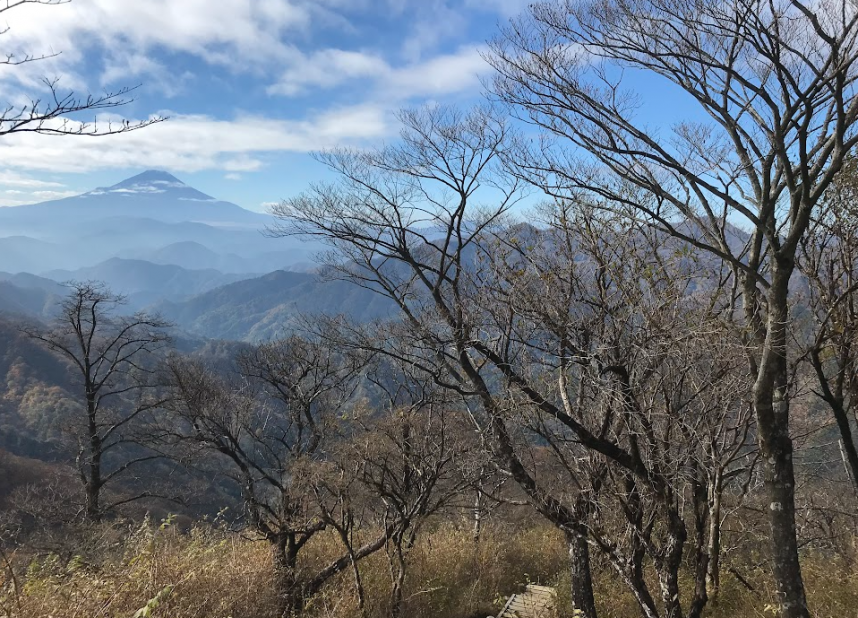 11月9日塔ノ岳山頂