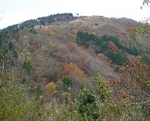 11月14日三ノ塔山頂