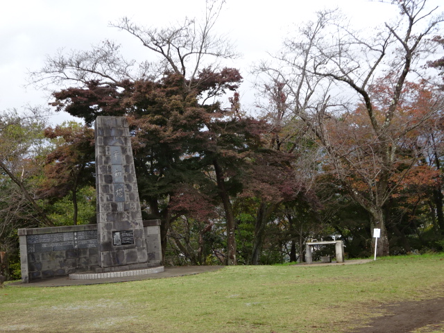 11月16日権現山山頂周辺見ごろ