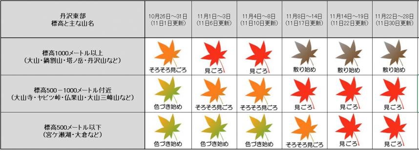 1130紅葉記録表