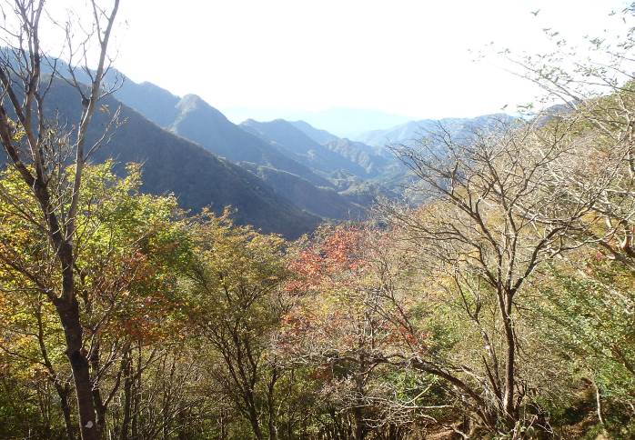 大室山　犬越路からの眺め