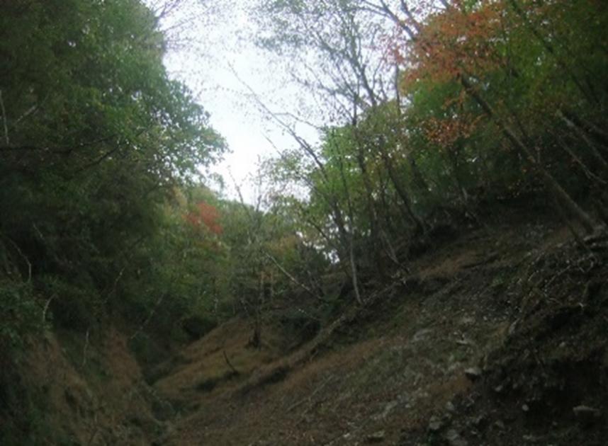 10月27日雨山峠色づき始め