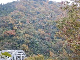 arashiyama02