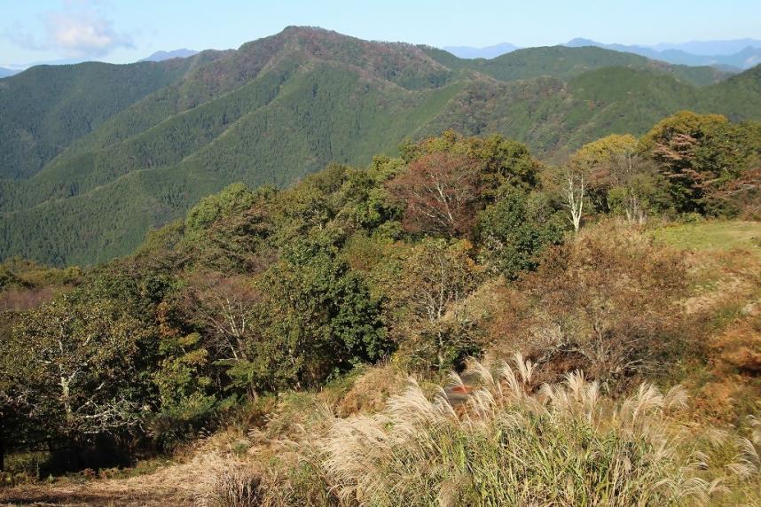 陣馬山　山頂からの眺め