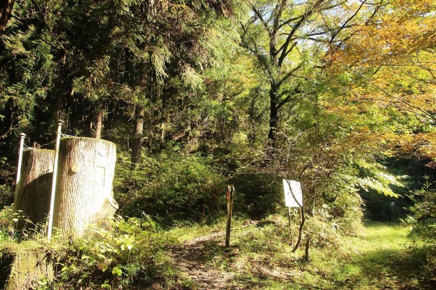 陣馬山　奈良子尾根登山口