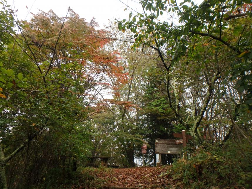 三国山　山頂周辺